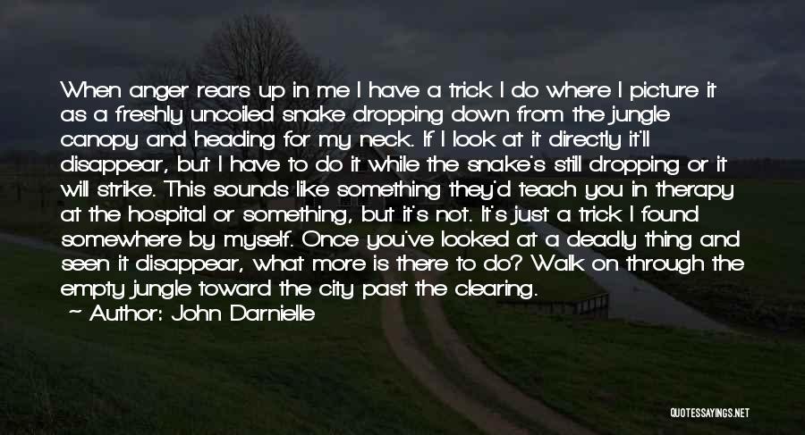 John Darnielle Quotes: When Anger Rears Up In Me I Have A Trick I Do Where I Picture It As A Freshly Uncoiled