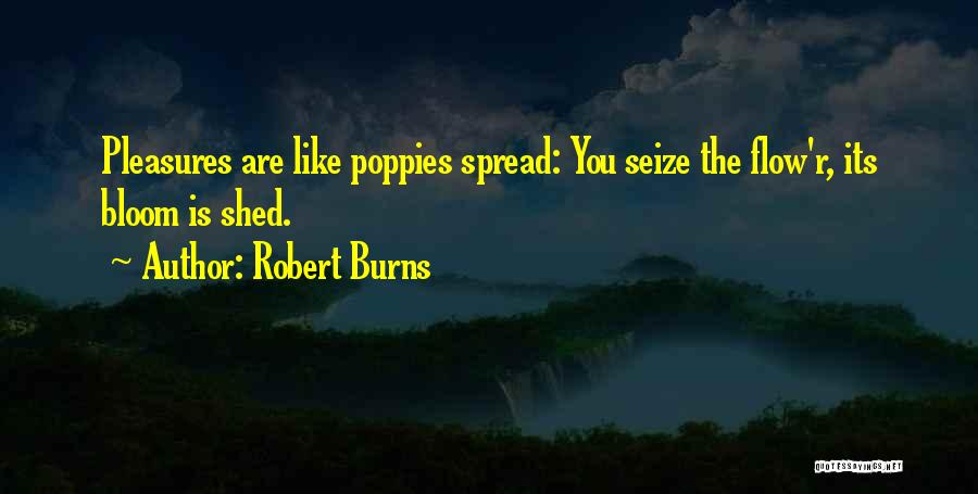 Robert Burns Quotes: Pleasures Are Like Poppies Spread: You Seize The Flow'r, Its Bloom Is Shed.