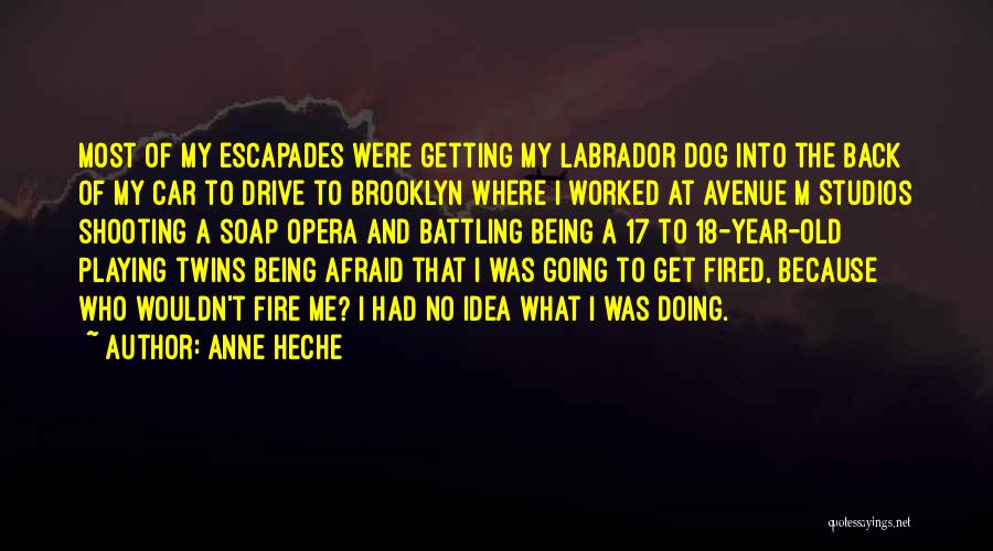 Anne Heche Quotes: Most Of My Escapades Were Getting My Labrador Dog Into The Back Of My Car To Drive To Brooklyn Where