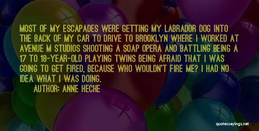 Anne Heche Quotes: Most Of My Escapades Were Getting My Labrador Dog Into The Back Of My Car To Drive To Brooklyn Where