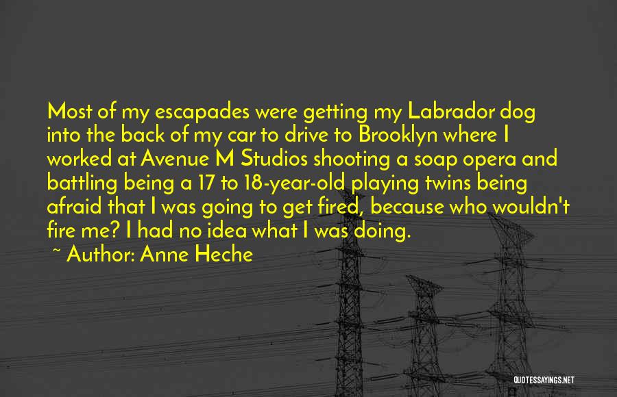 Anne Heche Quotes: Most Of My Escapades Were Getting My Labrador Dog Into The Back Of My Car To Drive To Brooklyn Where