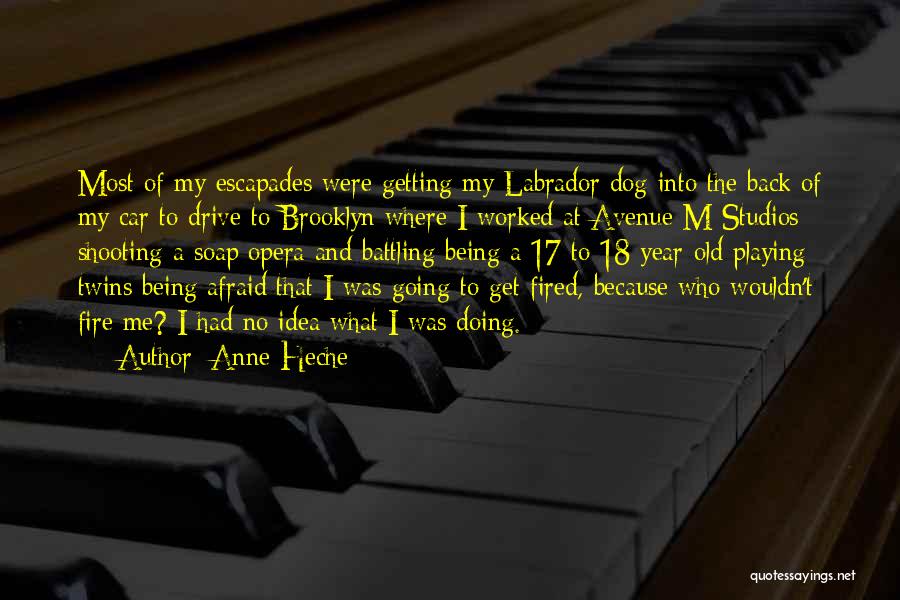 Anne Heche Quotes: Most Of My Escapades Were Getting My Labrador Dog Into The Back Of My Car To Drive To Brooklyn Where