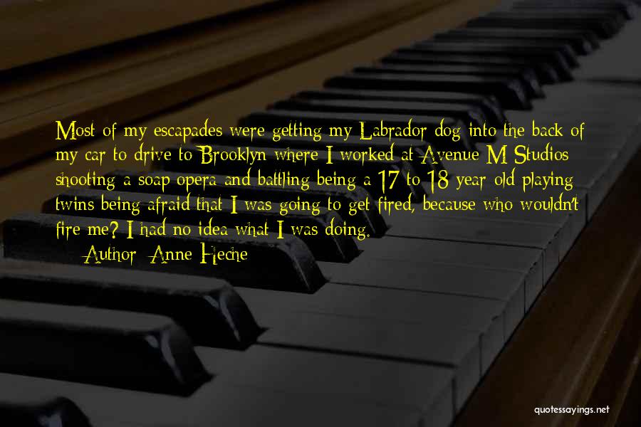 Anne Heche Quotes: Most Of My Escapades Were Getting My Labrador Dog Into The Back Of My Car To Drive To Brooklyn Where