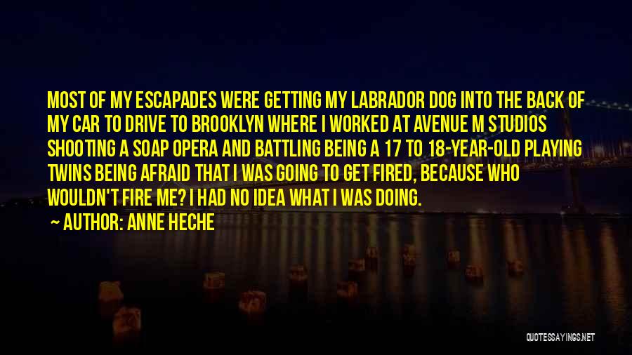 Anne Heche Quotes: Most Of My Escapades Were Getting My Labrador Dog Into The Back Of My Car To Drive To Brooklyn Where