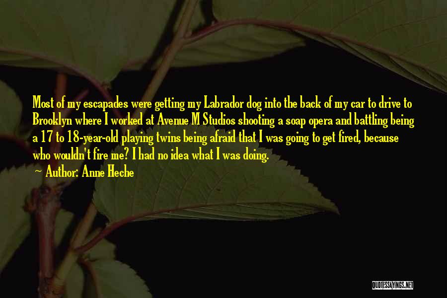 Anne Heche Quotes: Most Of My Escapades Were Getting My Labrador Dog Into The Back Of My Car To Drive To Brooklyn Where