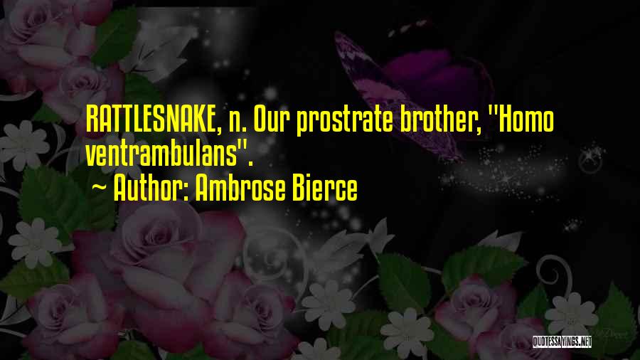 Ambrose Bierce Quotes: Rattlesnake, N. Our Prostrate Brother, Homo Ventrambulans.