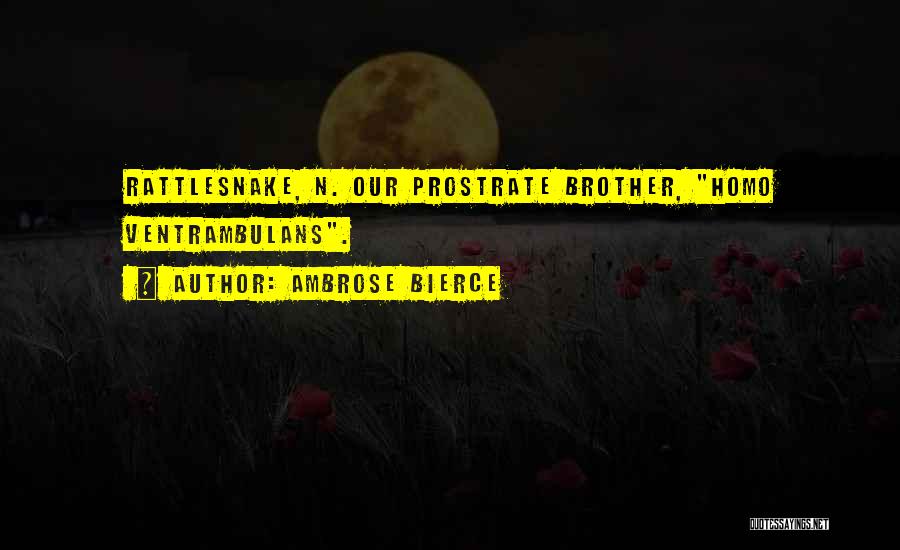 Ambrose Bierce Quotes: Rattlesnake, N. Our Prostrate Brother, Homo Ventrambulans.
