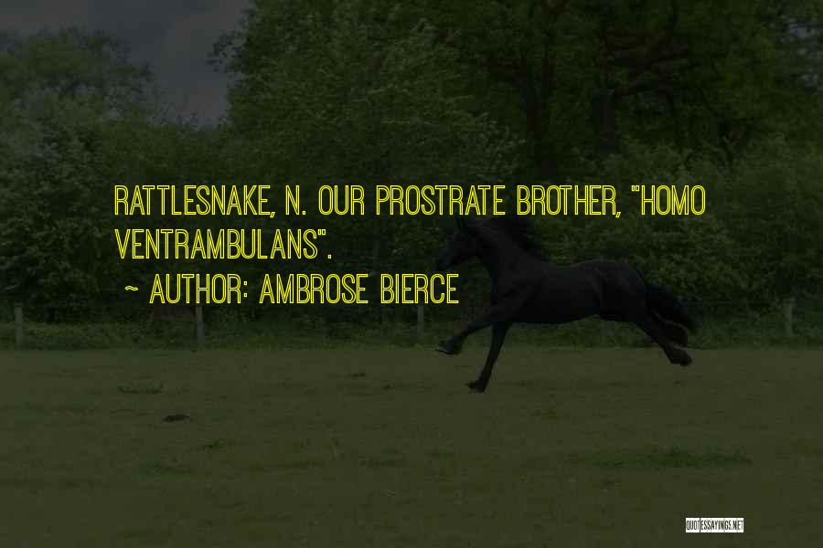 Ambrose Bierce Quotes: Rattlesnake, N. Our Prostrate Brother, Homo Ventrambulans.