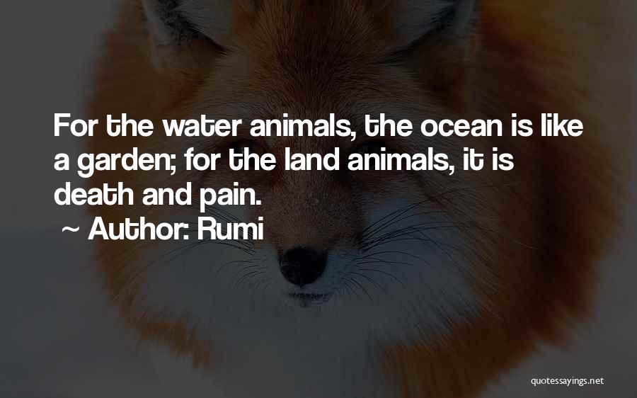 Rumi Quotes: For The Water Animals, The Ocean Is Like A Garden; For The Land Animals, It Is Death And Pain.