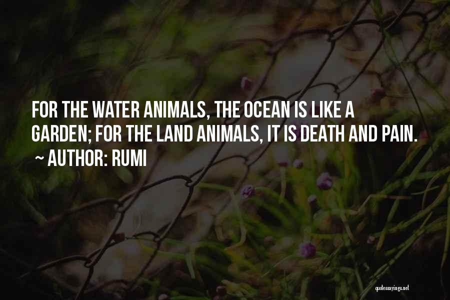 Rumi Quotes: For The Water Animals, The Ocean Is Like A Garden; For The Land Animals, It Is Death And Pain.