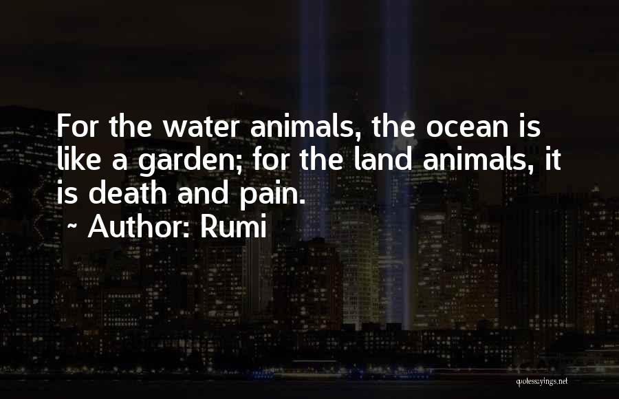 Rumi Quotes: For The Water Animals, The Ocean Is Like A Garden; For The Land Animals, It Is Death And Pain.