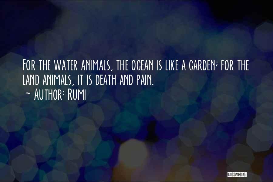 Rumi Quotes: For The Water Animals, The Ocean Is Like A Garden; For The Land Animals, It Is Death And Pain.