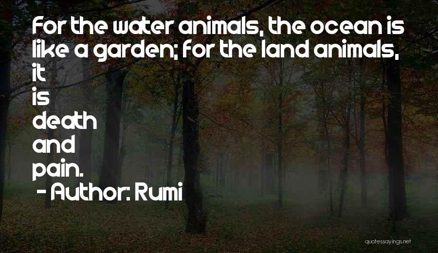 Rumi Quotes: For The Water Animals, The Ocean Is Like A Garden; For The Land Animals, It Is Death And Pain.