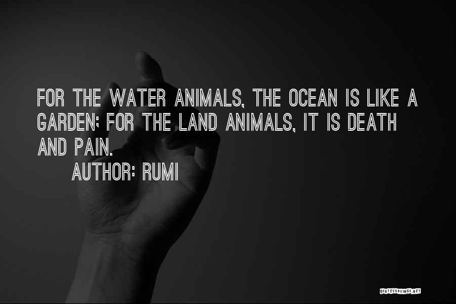 Rumi Quotes: For The Water Animals, The Ocean Is Like A Garden; For The Land Animals, It Is Death And Pain.