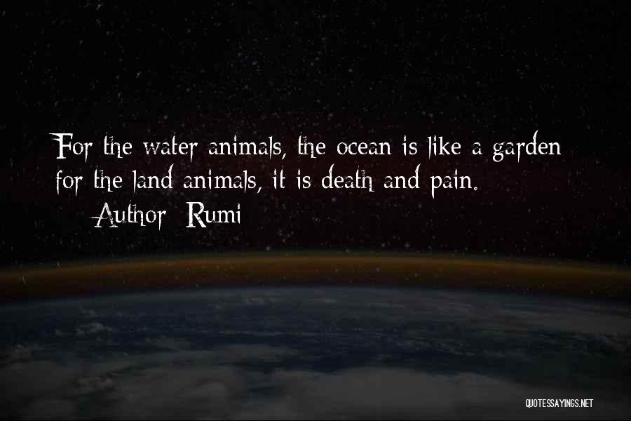 Rumi Quotes: For The Water Animals, The Ocean Is Like A Garden; For The Land Animals, It Is Death And Pain.