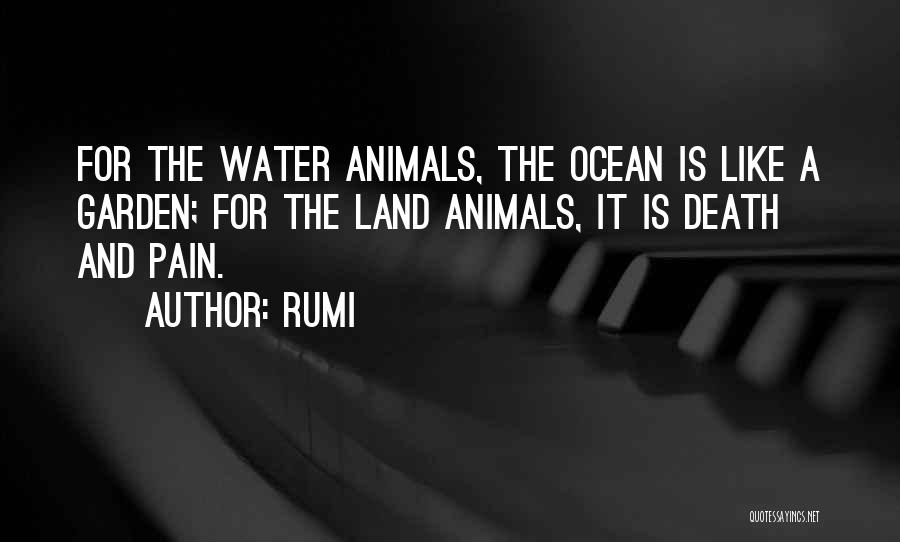 Rumi Quotes: For The Water Animals, The Ocean Is Like A Garden; For The Land Animals, It Is Death And Pain.
