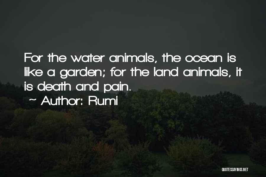 Rumi Quotes: For The Water Animals, The Ocean Is Like A Garden; For The Land Animals, It Is Death And Pain.