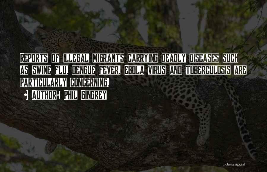 Phil Gingrey Quotes: Reports Of Illegal Migrants Carrying Deadly Diseases Such As Swine Flu, Dengue Fever, Ebola Virus And Tuberculosis Are Particularly Concerning.