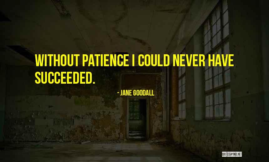 9forty Quotes By Jane Goodall 9forty Quotes By Jane Goodall