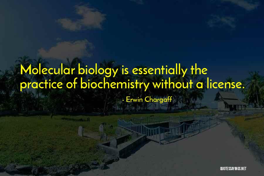 9how Hcsh Quotes By Erwin Chargaff 9how Hcsh Quotes By Erwin Chargaff