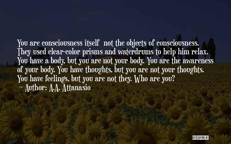 A.A. Attanasio Quotes 653860