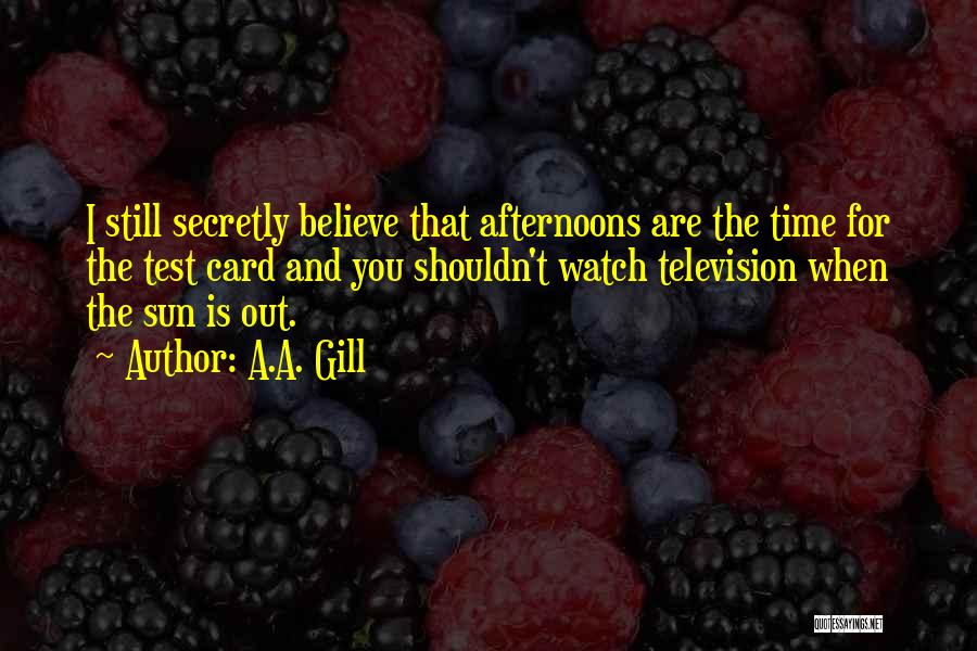 A.A. Gill Quotes 781993