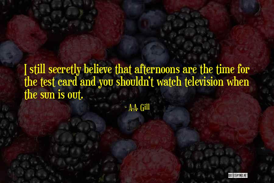 A.A. Gill Quotes 781993 A.A. Gill Quotes 781993