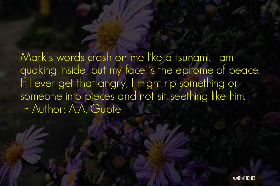 A.A. Gupte Quotes 1030076