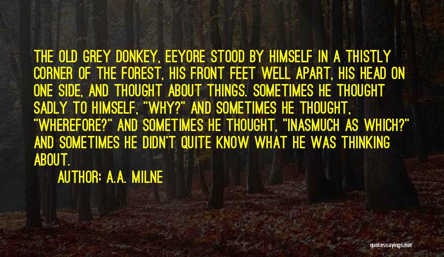 A.A. Milne Quotes 641225
