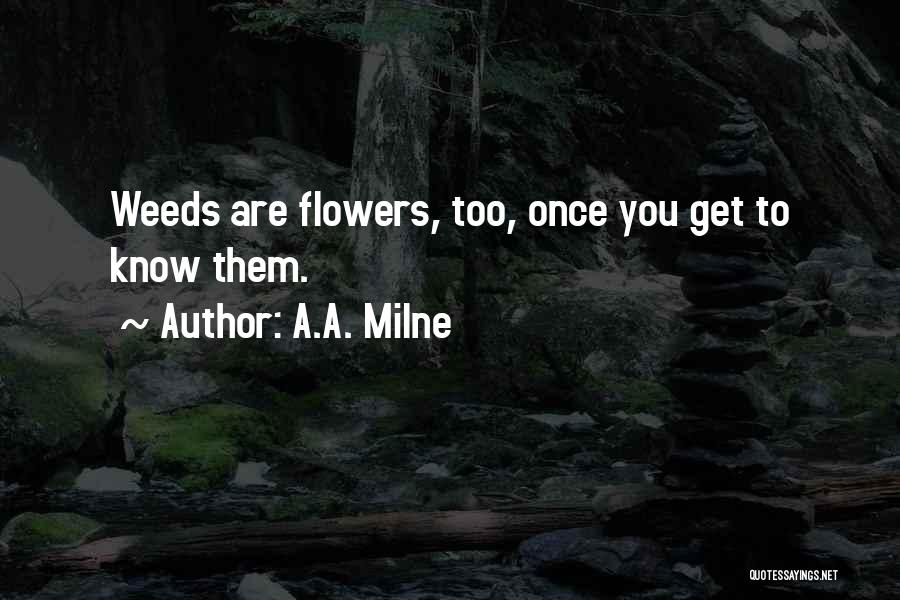 A.A. Milne Quotes 673202