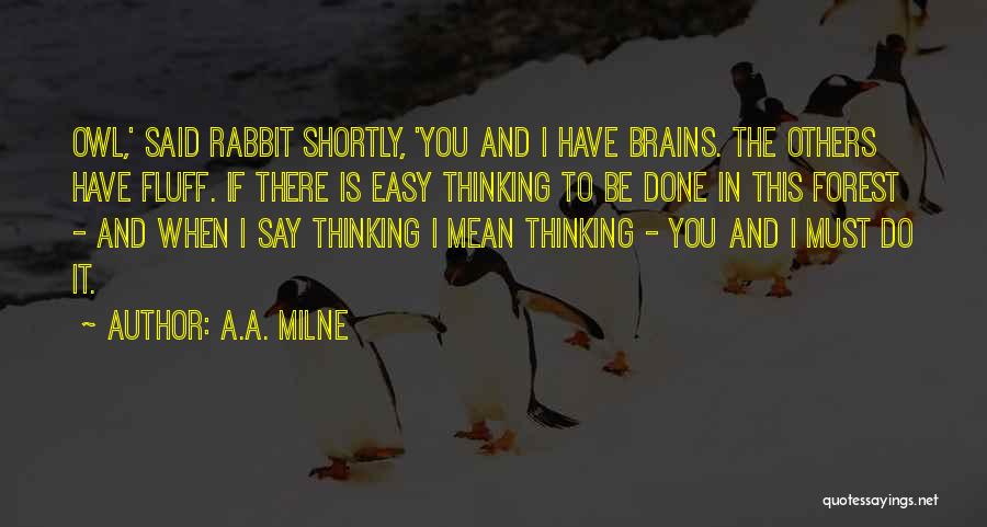 A.A. Milne Quotes 845859