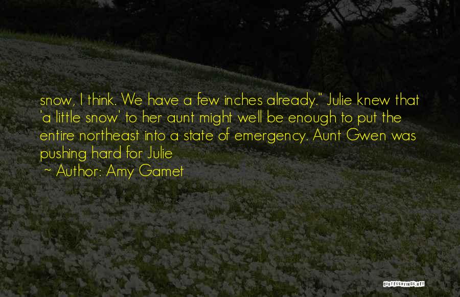 A Aunt Quotes By Amy Gamet