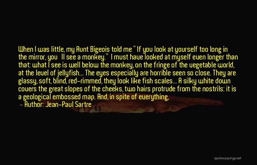 A Aunt Quotes By Jean-Paul Sartre