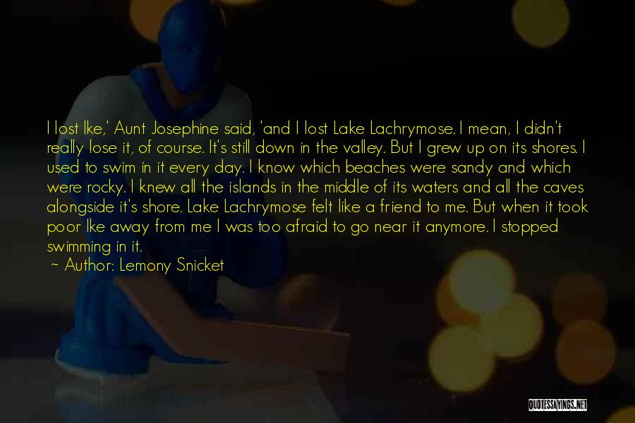 A Aunt Quotes By Lemony Snicket