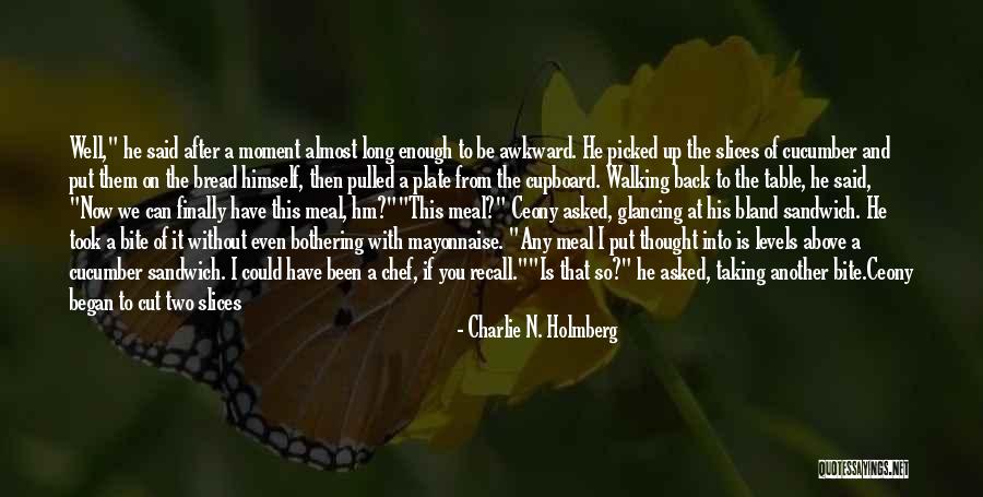 A Awkward Moment Quotes By Charlie N. Holmberg