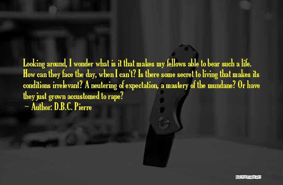 A B C D Quotes By D.B.C. Pierre