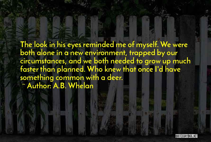 A.B. Whelan Quotes 1402853