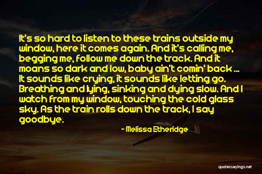 A Baby Dying Quotes By Melissa Etheridge