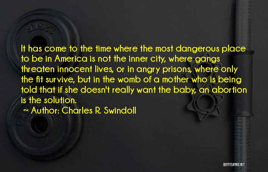 A Baby In The Womb Quotes By Charles R. Swindoll