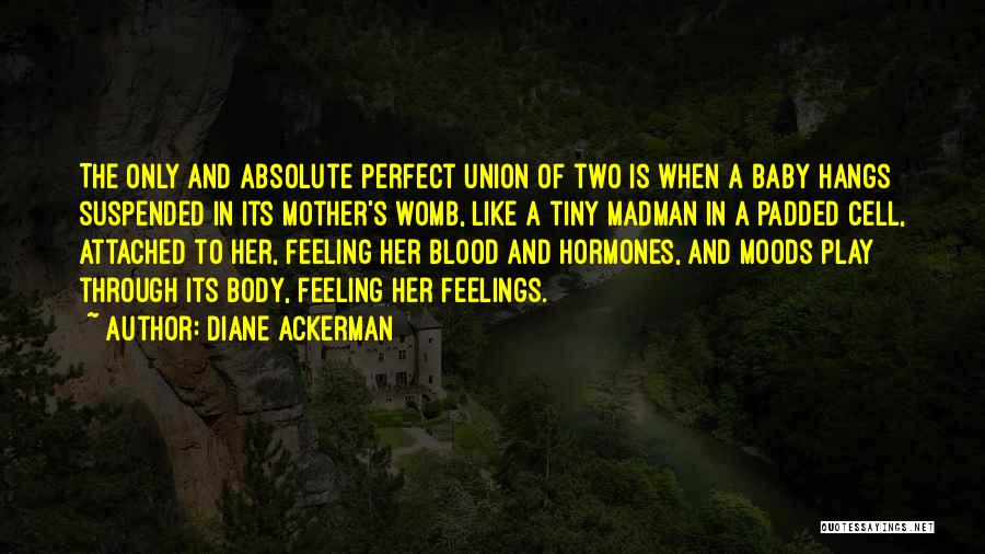 A Baby In The Womb Quotes By Diane Ackerman