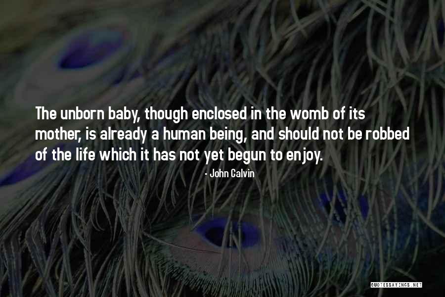 A Baby In The Womb Quotes By John Calvin