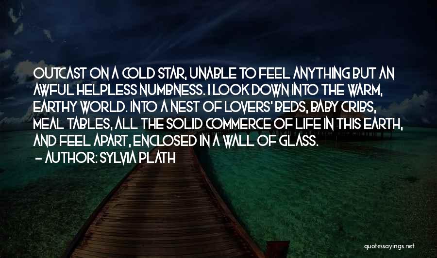 A Baby Quotes By Sylvia Plath