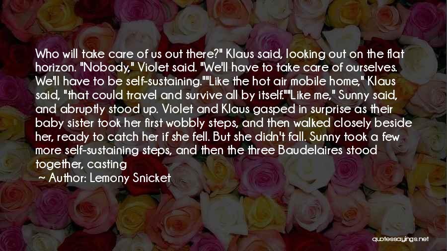 A Baby Sister Quotes By Lemony Snicket