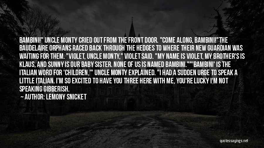 A Baby Sister Quotes By Lemony Snicket