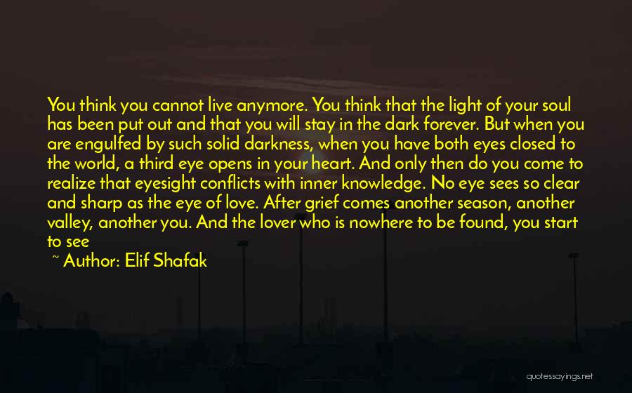 A Baby Smile Quotes By Elif Shafak