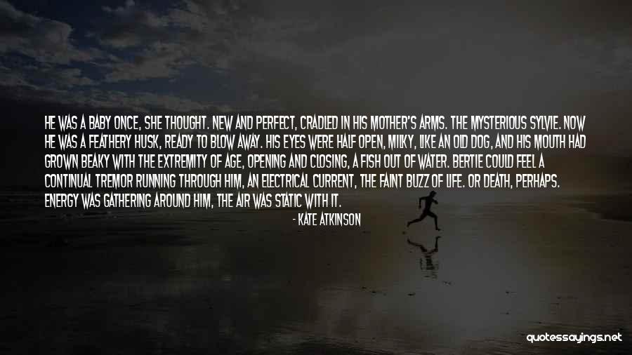 A Baby's Death Quotes By Kate Atkinson A Baby's Death Quotes By Kate Atkinson
