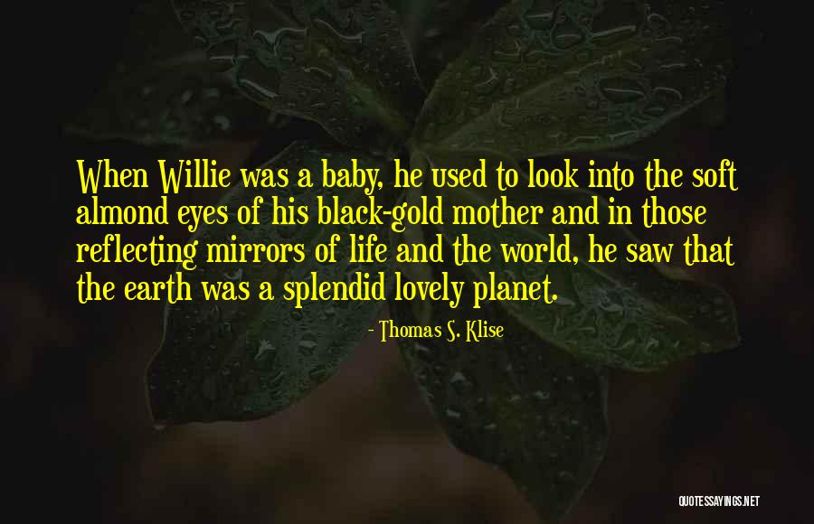 A Baby's Eyes Quotes By Thomas S. Klise