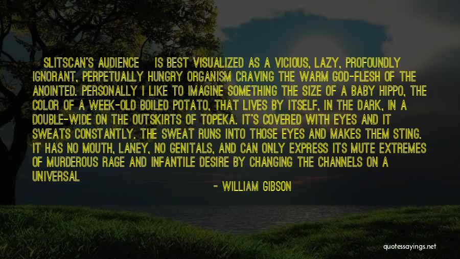 A Baby's Eyes Quotes By William Gibson