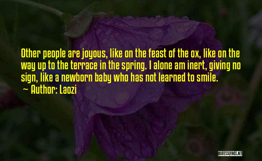 A Baby's Smile Quotes By Laozi