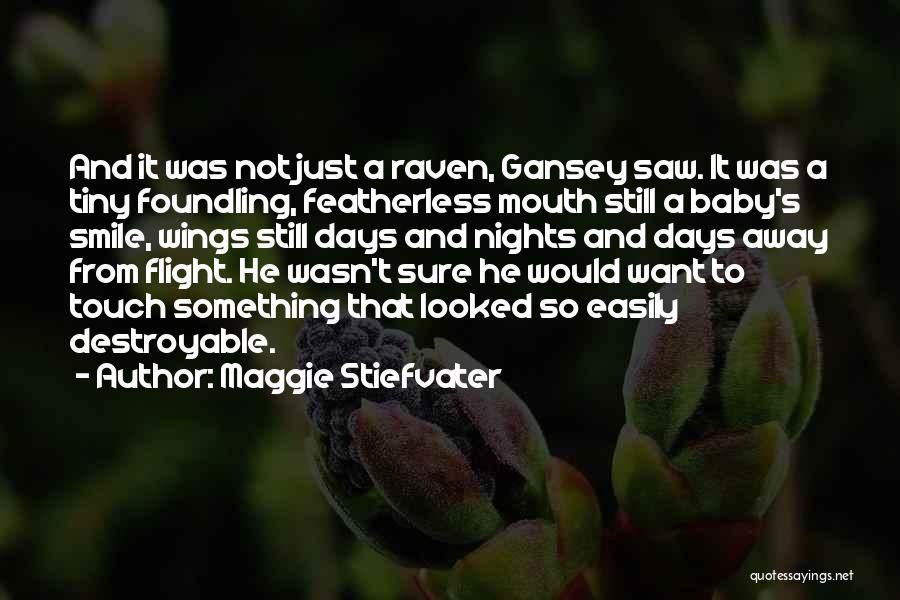 A Baby's Smile Quotes By Maggie Stiefvater